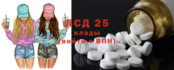ГАЛЛЮЦИНОГЕННЫЕ ГРИБЫ Аркадак
