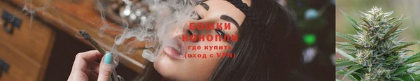 ГАЛЛЮЦИНОГЕННЫЕ ГРИБЫ Аркадак