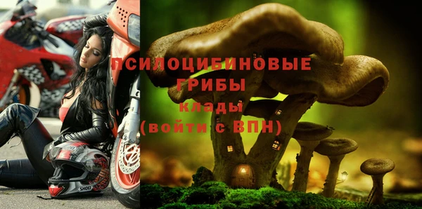 спиды Няндома