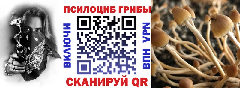 Псилоцибиновые грибы Magic Shrooms  где купить   Усолье 